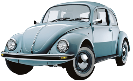 Beetle